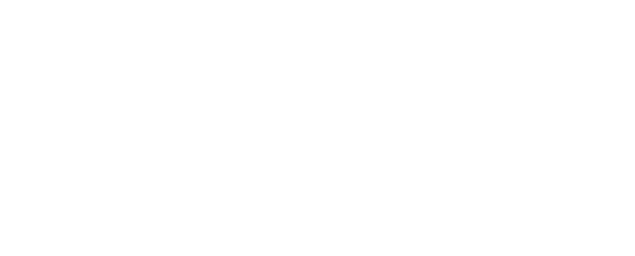 BCG_Logo_Monogram_white