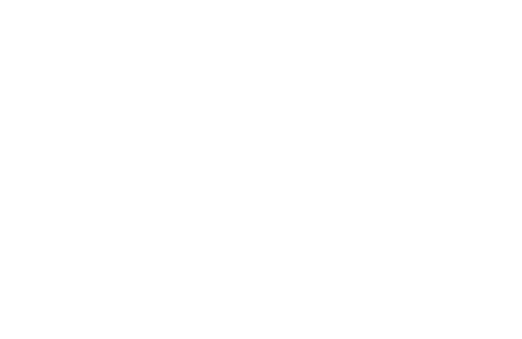 Brann_logo_White