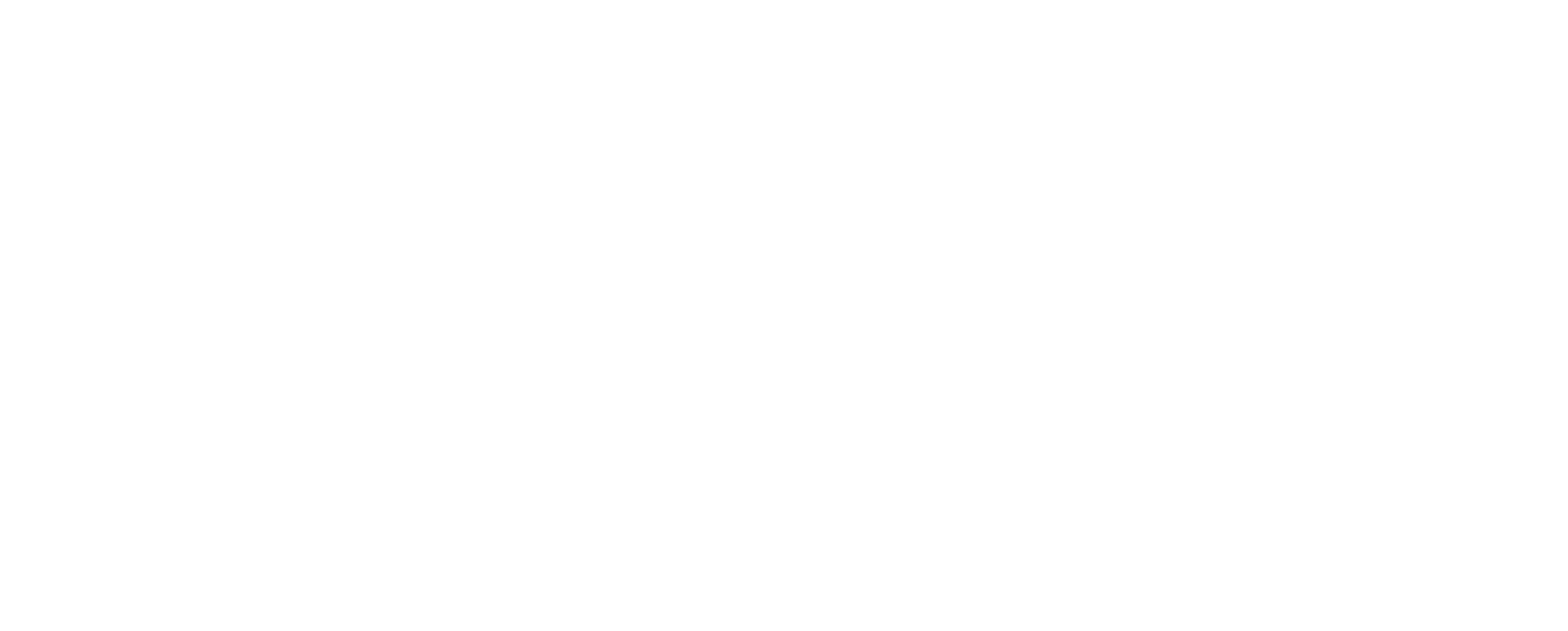 EY_Logo_Beam_STFWC_Horizontal_Small_RGB_White_EN