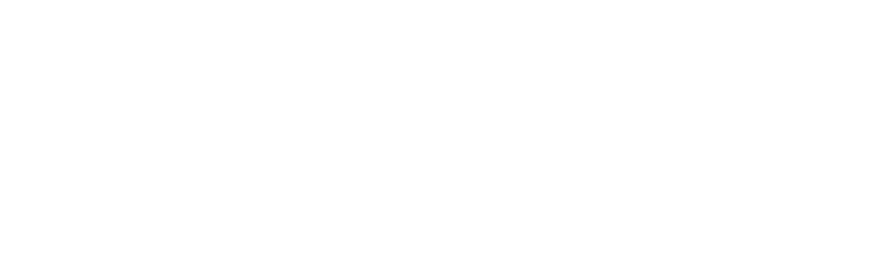 storsalalogo